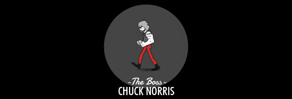 The walking geek Le jeu, animation Chuck Norris